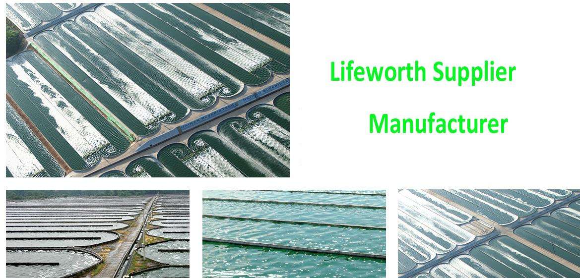 hydrolyzed sponge spicules factory