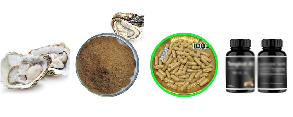 oyster meat powder