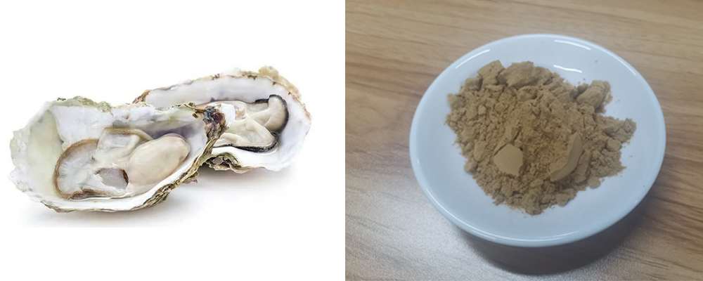 pure oyster extract powder
