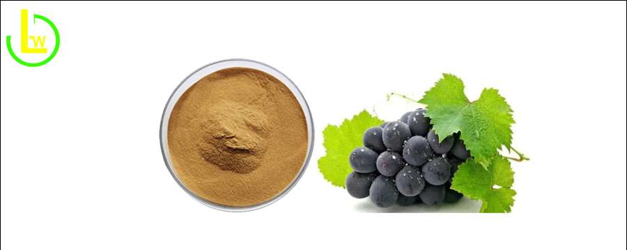 Grape skin extract resveratrol powder
