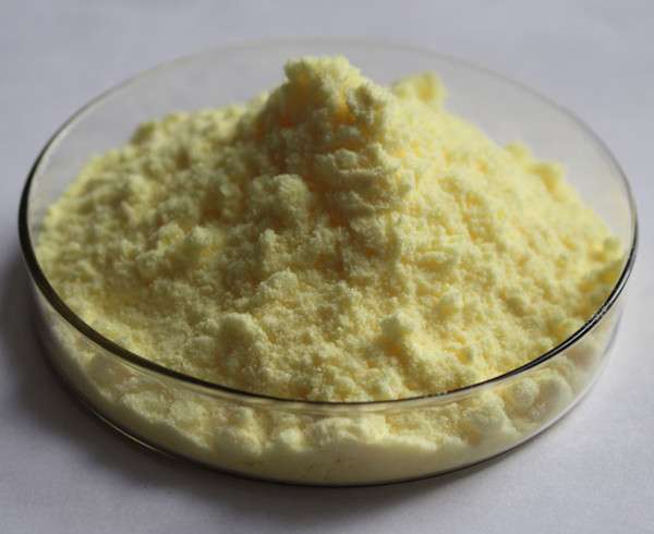 alpha lipoic acid bulk powder