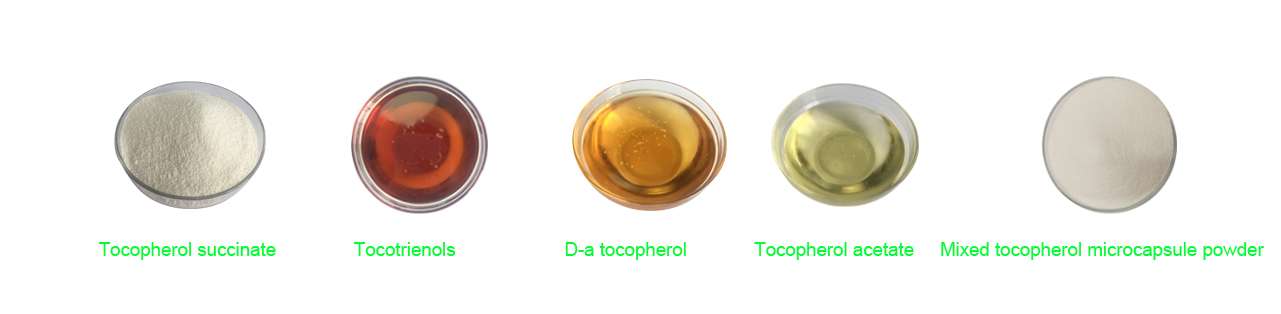 tocotrienols bulk