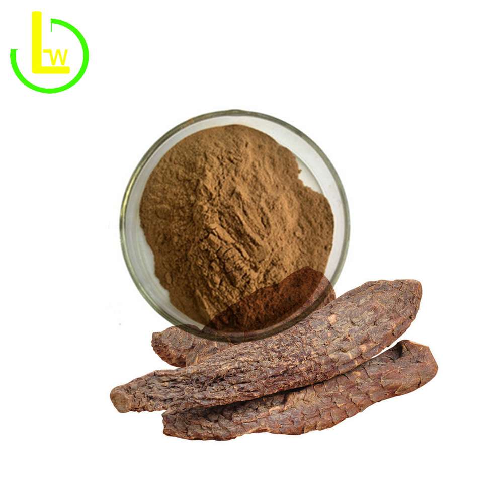 cistanche deserticola extract powder