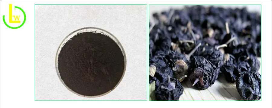 black goji berry extract powder