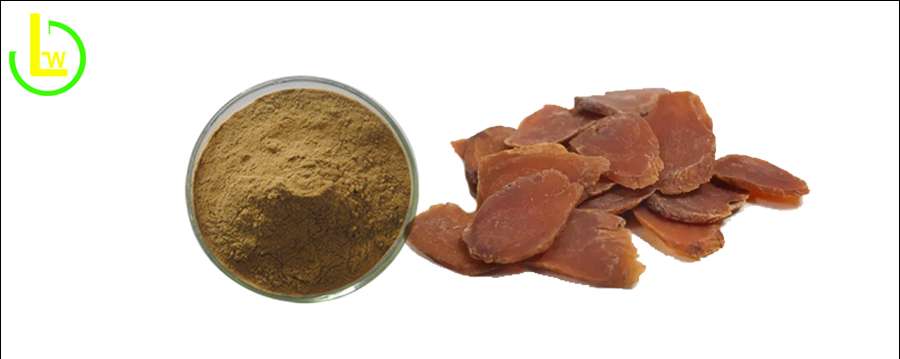 korean ginseng root extract powder HPLC 3% 4% Ginsenoside