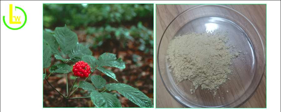 American Ginseng Powder