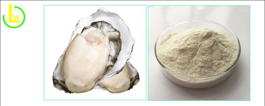 bulk-oyster-peptide-powder