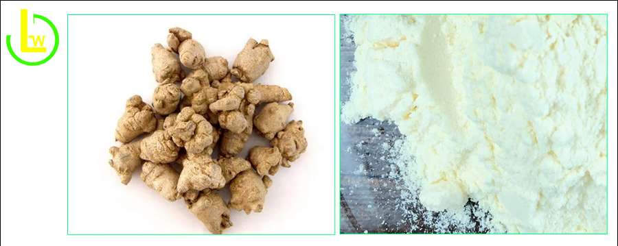 Panax notoginseng extract total saponins powder