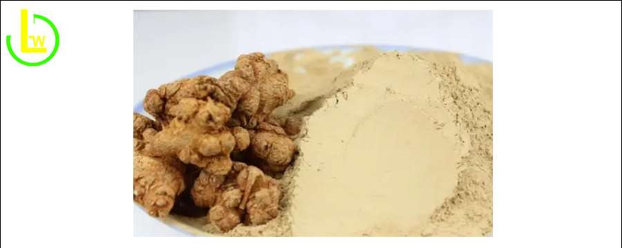 Panax notoginseng powder