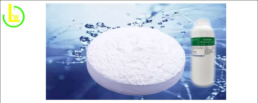 Acetylated Sodium Hyaluronate powder