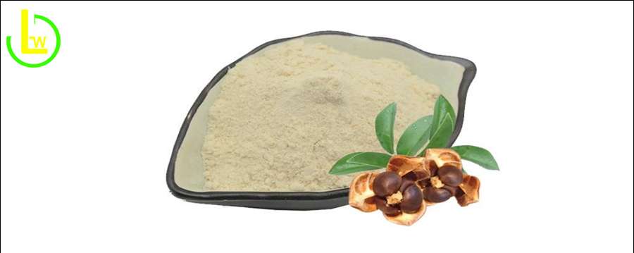 tea saponin bulk