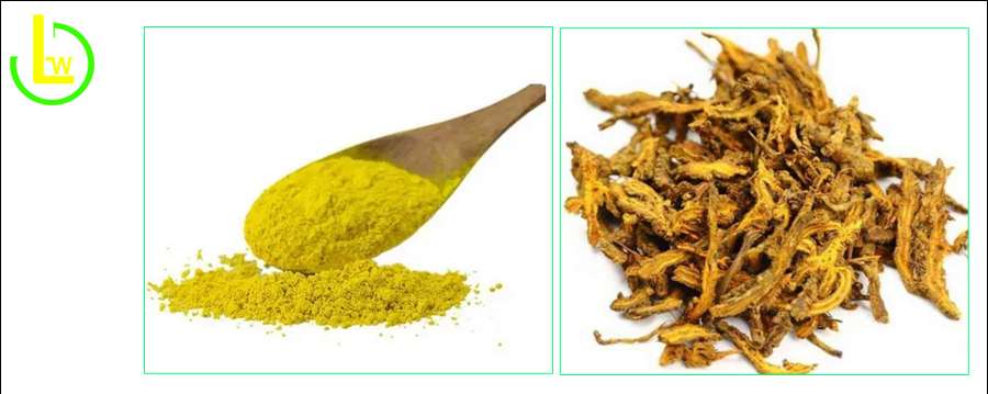 Phellodendron amurense extract Berberine Hydrochloride