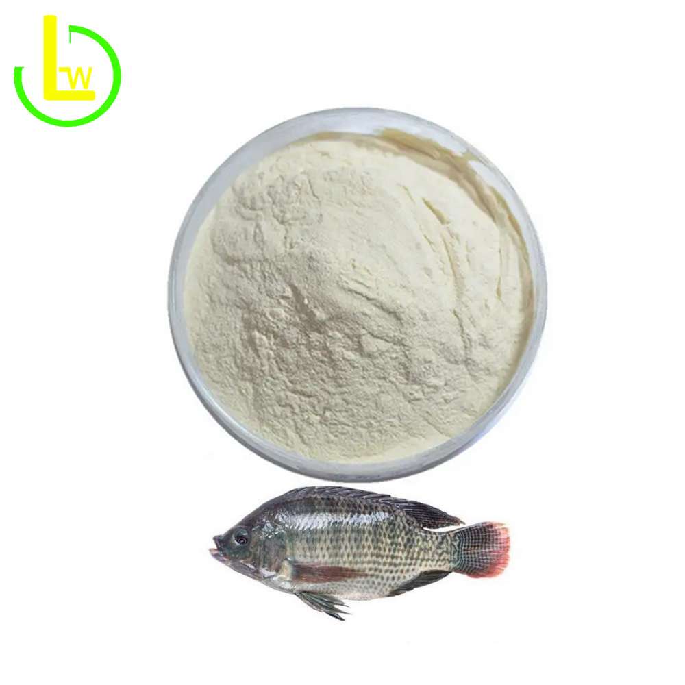 hydrolyzed collagen type i & iii, supplier, manufacturer