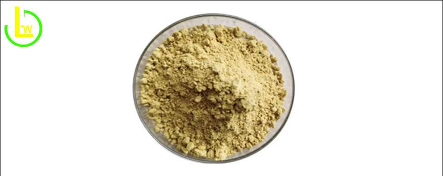 pure silymarin bulk