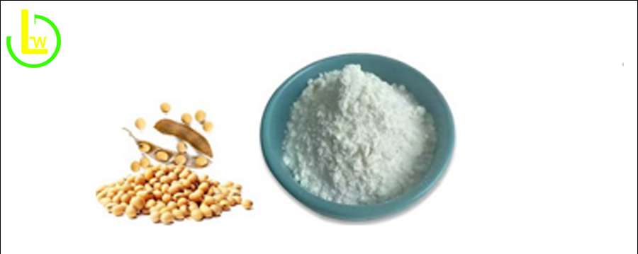 98% Daidzein Powder bulk