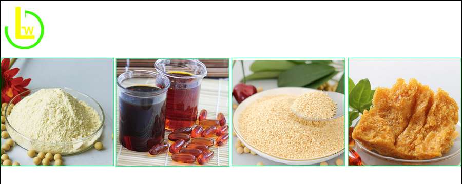 nature made soy lecithin