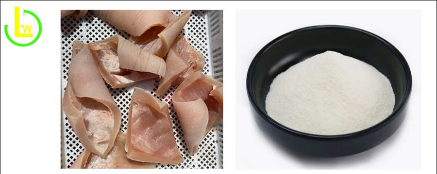 collagen peptides from bovine