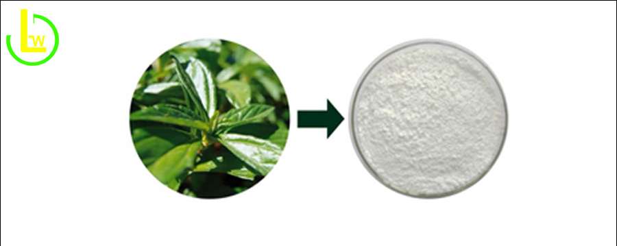 dihydromyricetin powder bulk