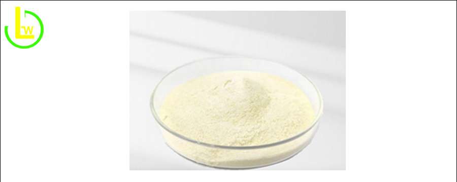 Liposomal berberine hydrochloride