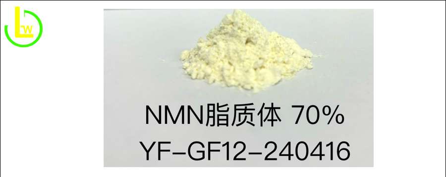 Liposomal L-Carnitine bulk Powder