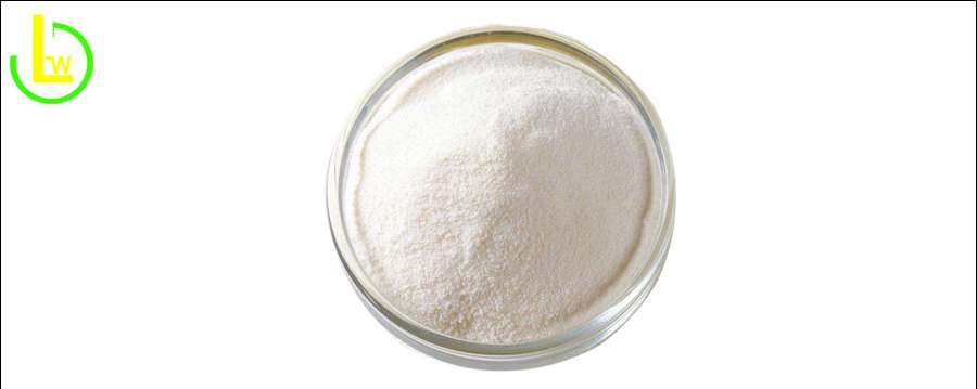 ergosterol powder bulk