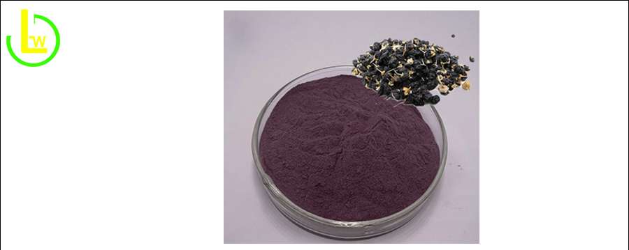 black-goji-berry-powder bulk