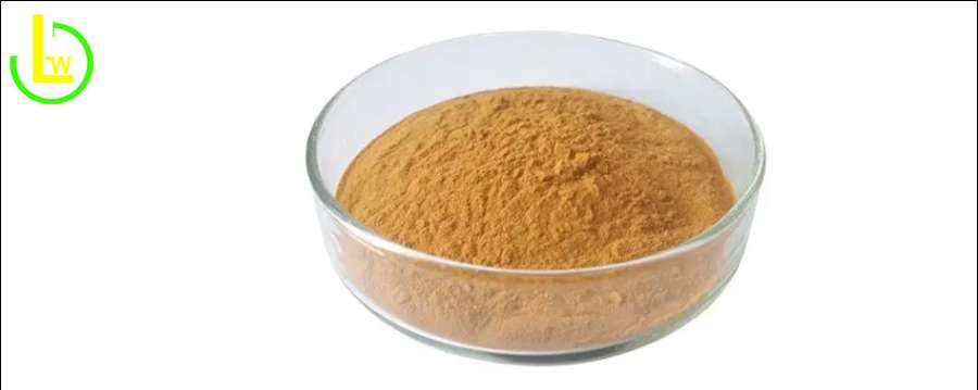Green Tea Catechins Powder