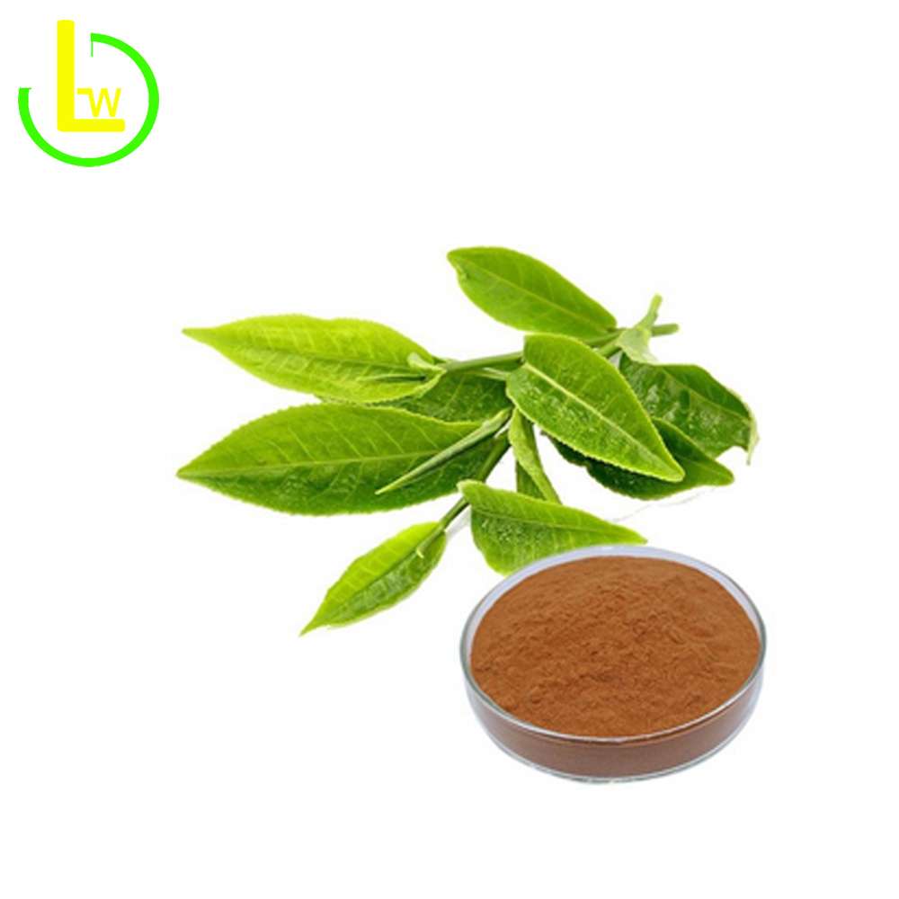 Green Tea Extract
