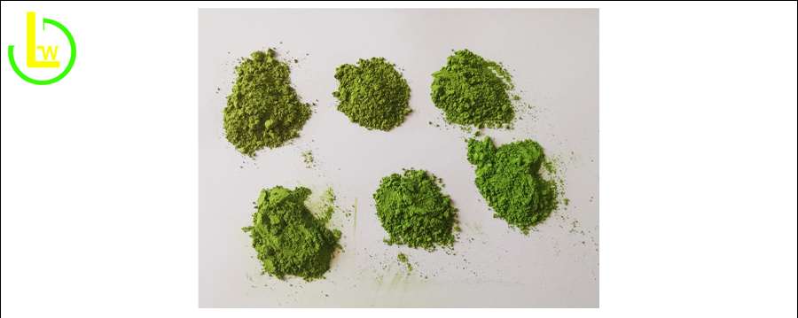 Matcha Powder Bulk