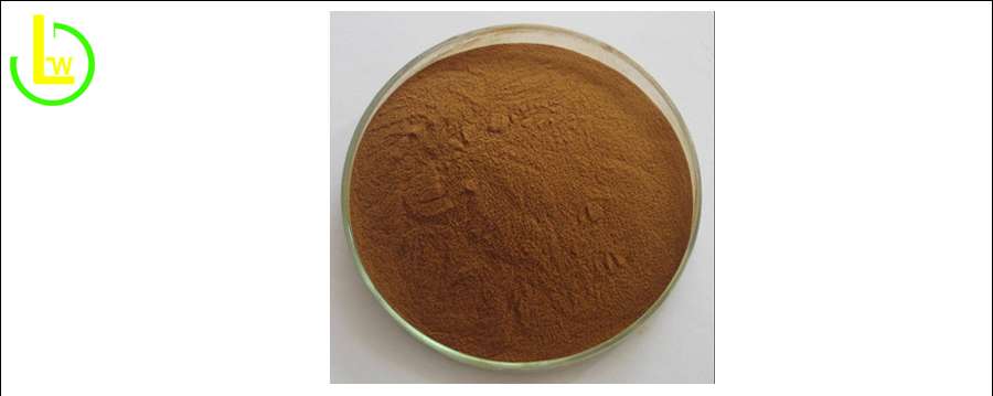 Water-Soluble Silymarin Bulk
