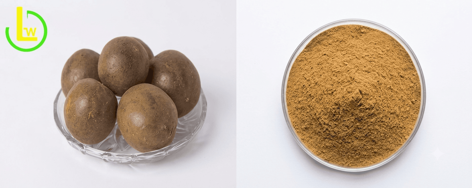 Monk Fruit Juice Powder Bulk