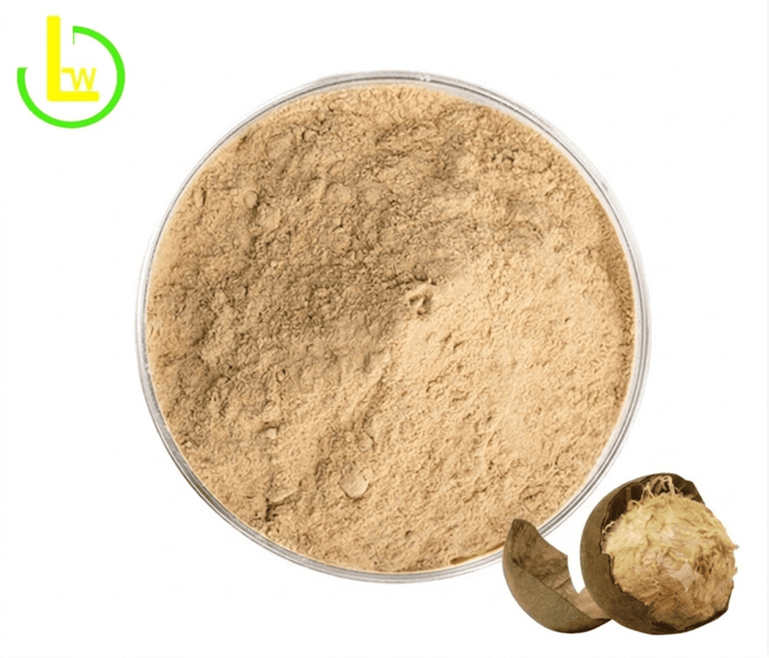 Monk Fruit Juice Powder